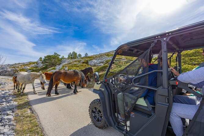 Makarska: Baggy Skywalk & Biokovo viewpoint Tour - Skywalk Above Biokovo, Plus Buggy Roads to Get There