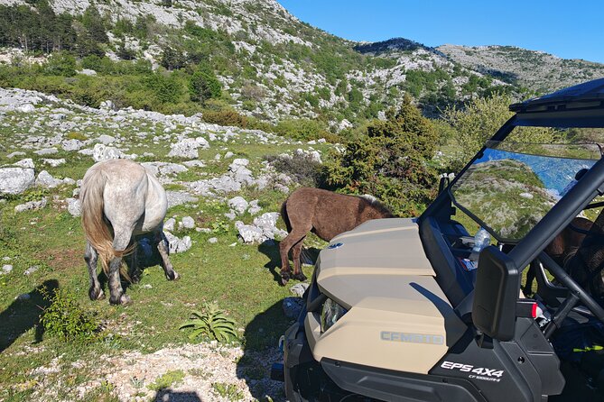 Makarska: Baggy Skywalk & Biokovo viewpoint Tour - Sinjal 1400 m Viewpoint Walk and Picnic Break