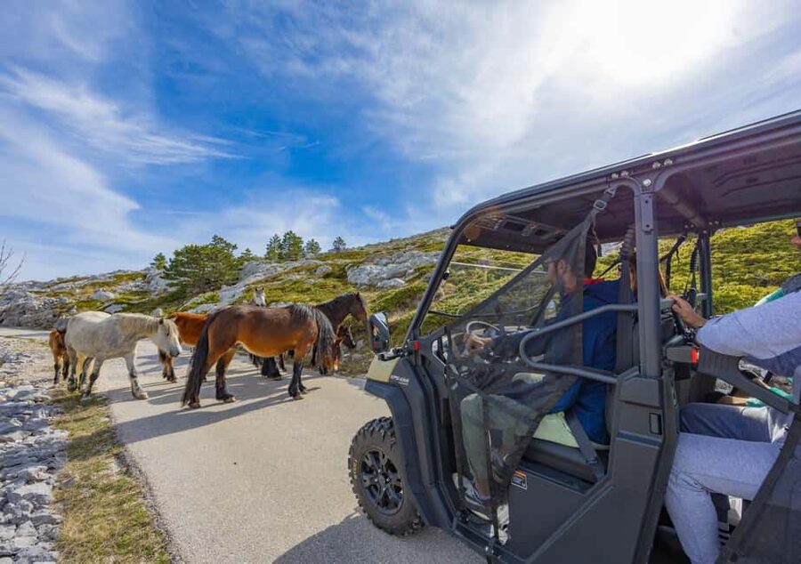 Makarska: Buggy Skywalk and Biokovo Tour - Key Highlights Worth Getting Excited About