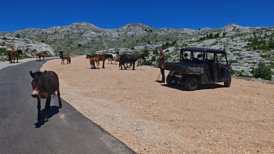 Makarska: Buggy Skywalk and Biokovo Tour - The Meal on Top: Domestic Food Plate, Fruit, and Wine You Actually Drink