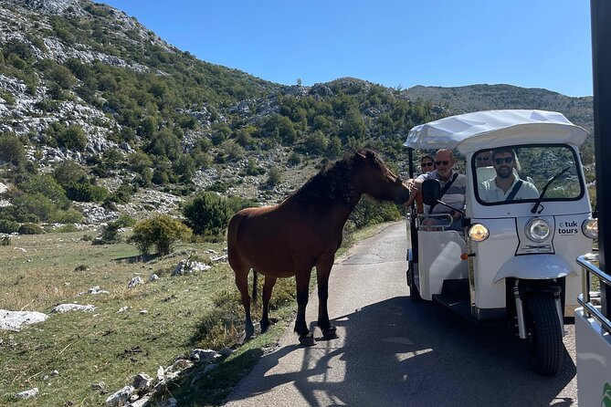 Makarska: Skywalk Tour with a Tuk Tuk - Skip the line ticket - Group Size, Comfort, and the Little Extras That Matter