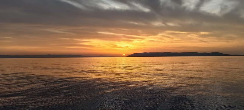 Makarska: Speedboat Sunset Tour to hidden bay on island Brač - Dolphins and the small-group advantage on the water
