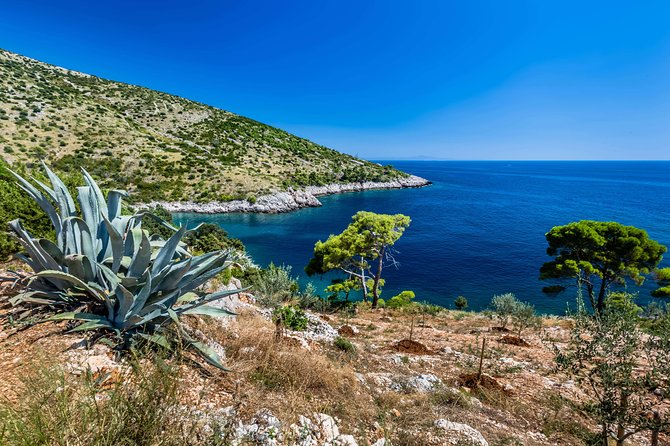 Mesmerizing Hvar speed boat tour with optional wine tasting - The undersea wine cellar tasting: the part you’ll remember