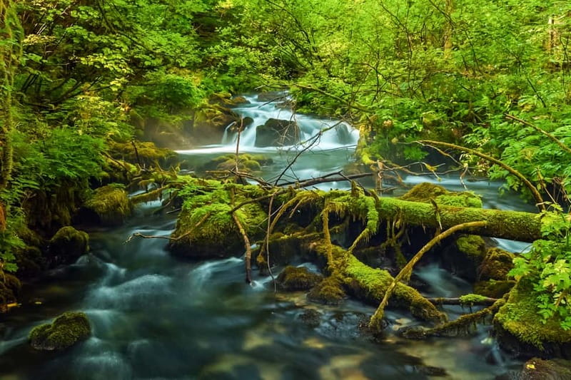 Plitvice Lakes: Guided Walking Tour with Train and Boat Ride - From Entrance 1 on a circular route: how the day is structured
