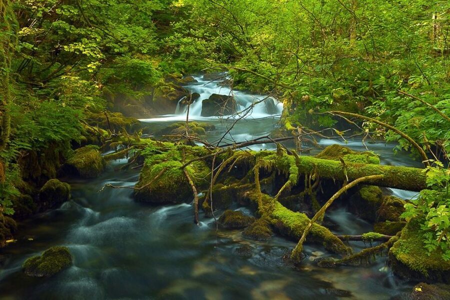 Plitvice Lakes Private Guided Tour - Timing at the National Park Cafeteria: photo stops, breaks, and how the day flows