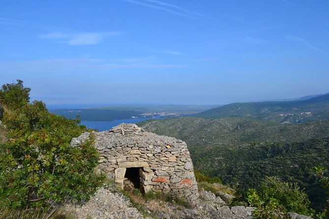Private Hvar Island Tour and Olive Oil Tasting - Olive oil tasting 101, what to pay attention to so you get more than flavor