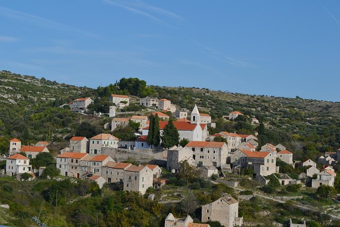 Private Hvar Island Tour and Olive Oil Tasting - Lavender fields, viewpoint breaks, and why the stops feel worth it