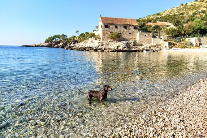 Private Speed Boat Tour of Hvar South Shore & Pakleni islands - Stop 4: Plaža Velo Borče, a quick hit near Mala Milna