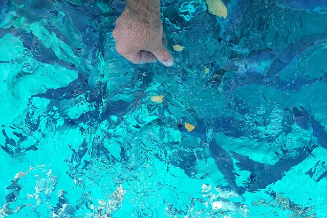 Private tour of Pakleni islands, Red Cliffs & South Shore of Hvar - What’s Included, What Isn’t, and How to Budget Smart