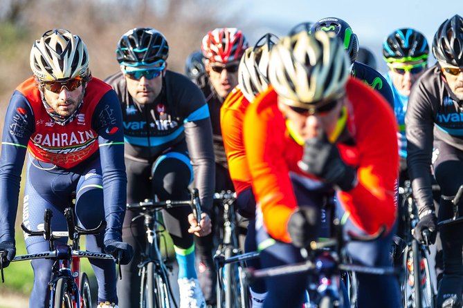 Pure Cycling Experience - Road Bike - Bikes and fitting: the detail that can make or break your ride