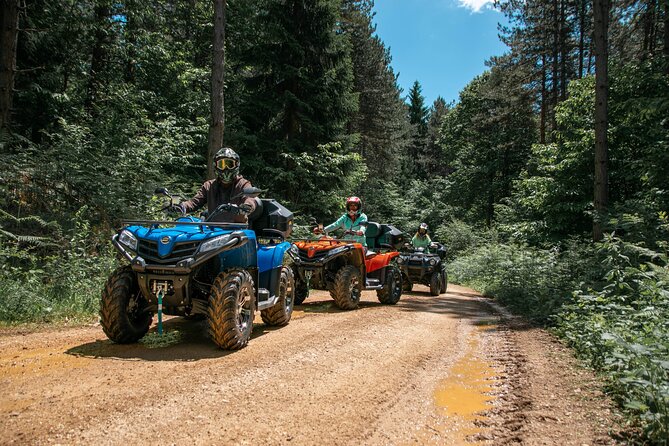 Quad adventure - What the ride feels like: meadows, forest paths, and off-road energy