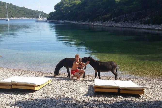 Red Rocks & Southern Side Of Hvar Private Tour - Key highlights that matter