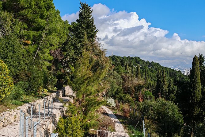 Secret Marjan Park Hiking Tour in Split - From Riva Promenade to Secret Paths in Marjan Park