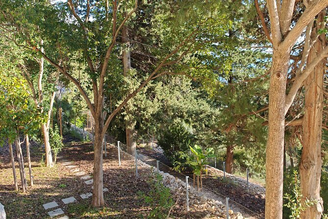 Secret Marjan Park Hiking Tour in Split - The Old Jewish Cemetery Area and Marjan’s Quiet Stories