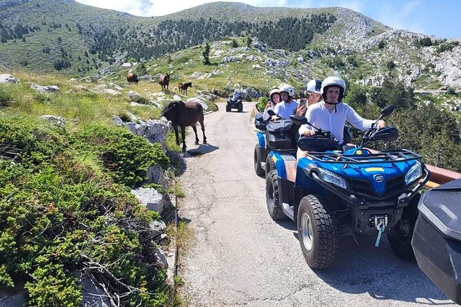 Skywalk Biokovo ATV Quad Tour - Price and value for a 3-hour Makarska experience