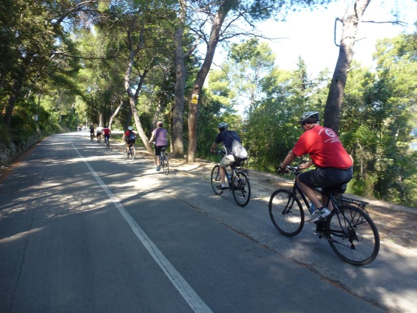 Split 3-Hour Guided Bike Tour - Who This Tour Suits Best, and Who Should Be Careful