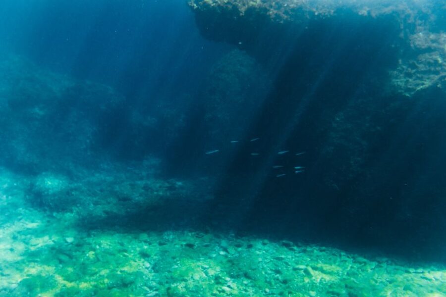 Split: 45-minute Semi-Submersible Submarine Trip - Day vs night tours: when underwater lights change the vibe