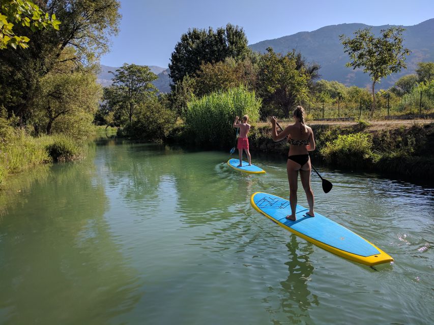 Split: Adriatic Sea and River Stand-Up Paddleboard Tour - Snorkeling and Sea Life: Clear Water, Fish, and Periska Shells