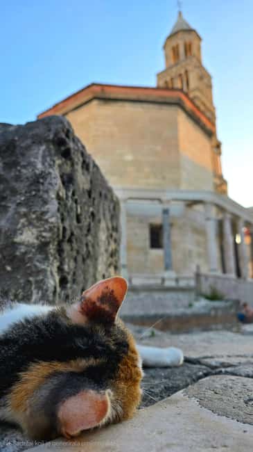 Split and Diocletian's Palace walking tour with a local guid - Why Diocletian’s Palace Makes Sense in 75 Minutes