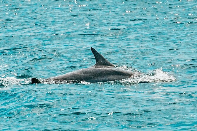 Split: Blue Lagoon & 3 Island Cruise with Wine & Snorkeling - Finding the boat in Split and getting that speedboat energy
