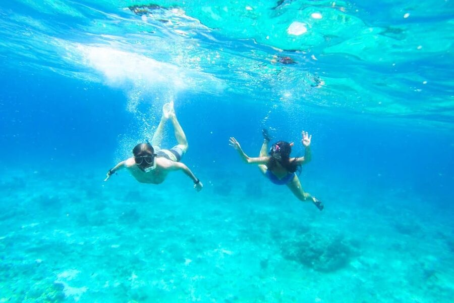 Split: Blue Lagoon, Hvar and 5 Islands Small Group Boat Tour - Stop by stop: Milna on Brač, Hvar Town, and Pakleni Islands