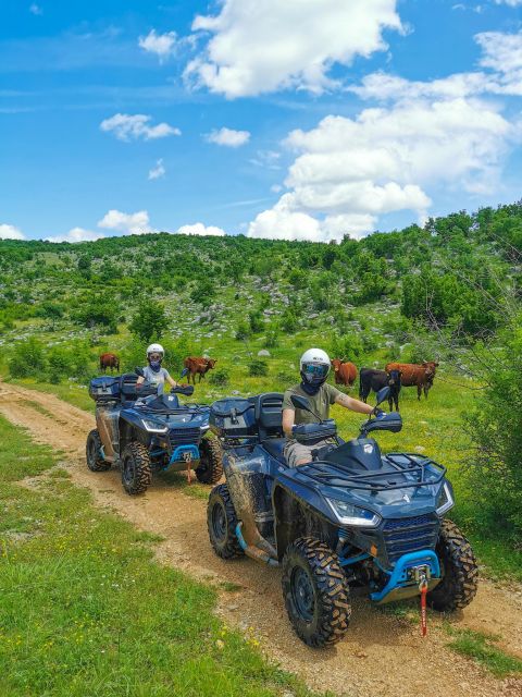 Split: Dalmatian Quad Tour with River Swimming & Picnic - Key highlights at a glance