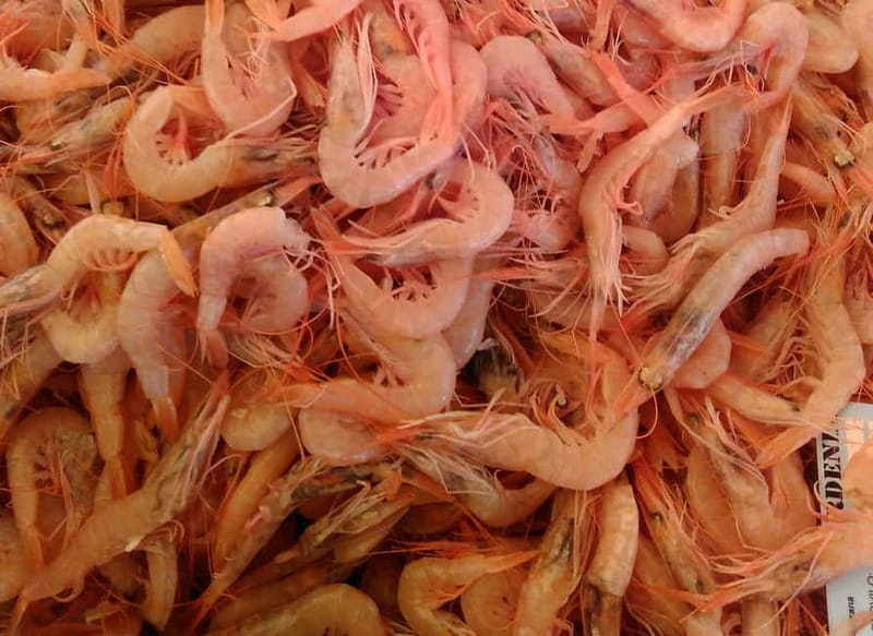 Split: Food Tasting Walking Tour - The food rhythm: what each tasting really does for you