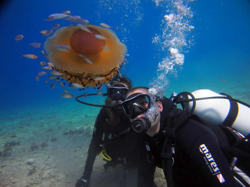 Split-Makarska-Brela Try SCUBA Dive - Key things I’d plan for