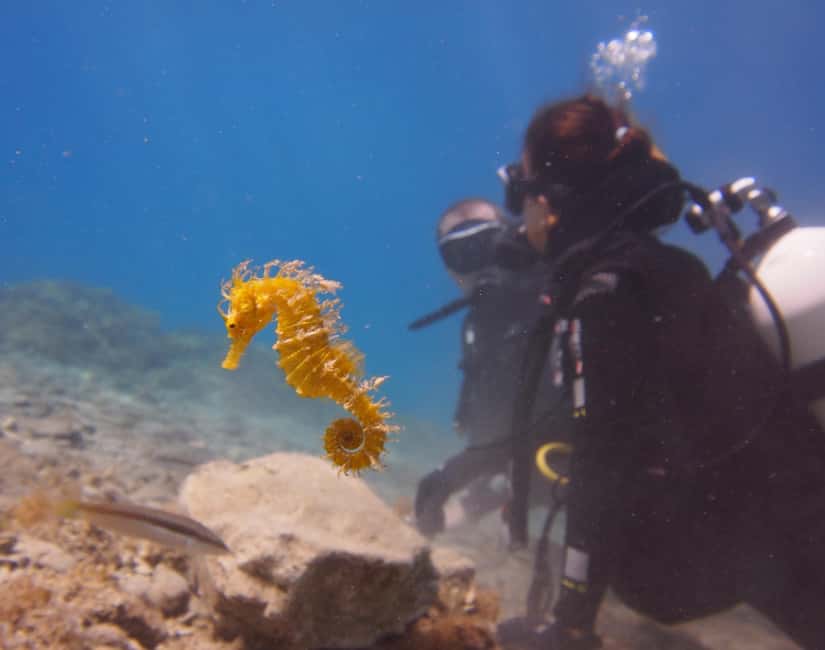 Split-Makarska-Brela Try SCUBA Dive - The 150-minute structure, and how you actually get time underwater