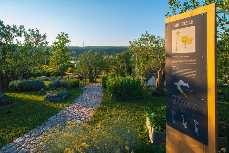 Split: Olive museum Klis with Olive Oil Tasting - Key Highlights You’ll Actually Use