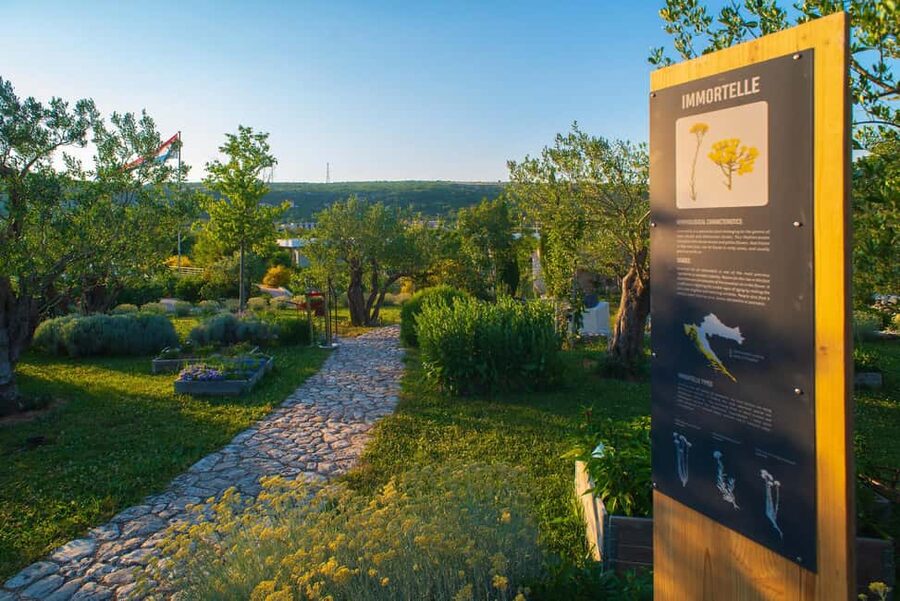 Split: Olive museum Klis with Olive Oil Tasting - The Botanical Collection: What 500 Species Means in Real Life