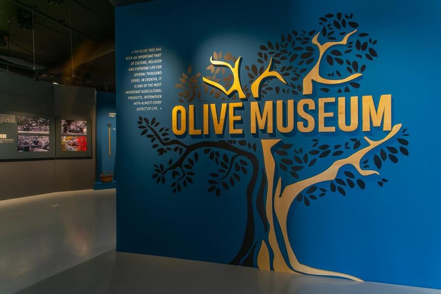 Split: Olive museum Klis with Olive Oil Tasting - The Tasting Room Training: How You Learn Extra Virgin Quality