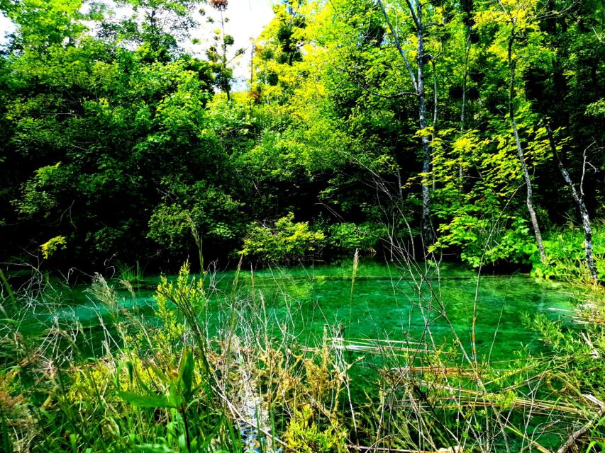 Split: Plitvice Lakes Guided Day Tour with Entry Tickets - Break times and the food reality inside the park