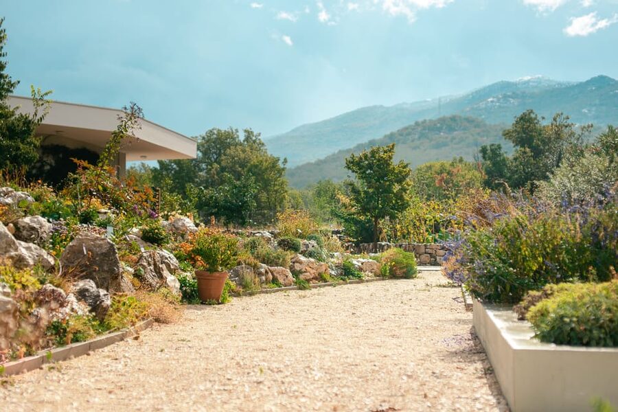 Split: Private tour to Klis Fortress and Vranjača cave - Why this Klis, olive park, and Vranjača combo works so well
