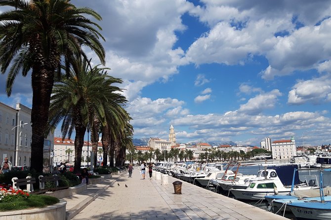 SPLIT-PRIVATE Walking Tour of Diocletian's Palace & Old Town - Key things to know before you go