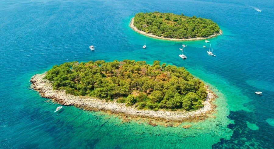 Split & Trogir: Private Blue Lagoon & Wine Tasting Boat Tour - Dolphins at the End: A Bonus That Adds Meaning to the Return Trip