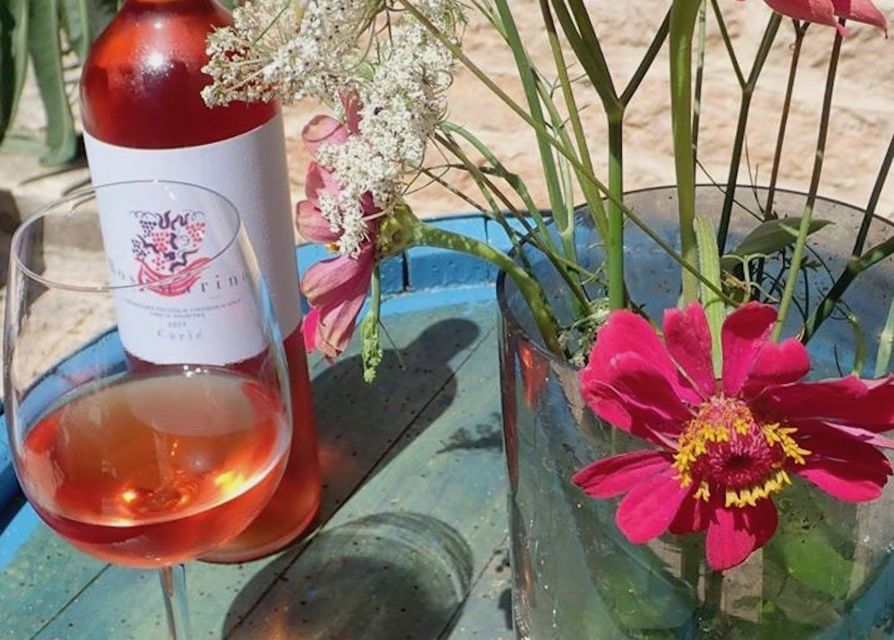 The Best of Hvar in a Day with Wine tasting and Local Dinner - Price and Value: What $289 Covers for a 6-Hour Hvar Day