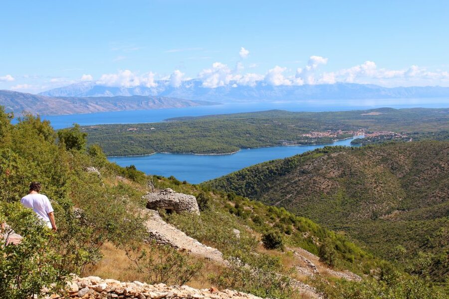The Best of Hvar in a Day with Wine tasting and Local Dinner - Why This 6-Hour Hvar Plan Combines Old Towns and Real Tasting