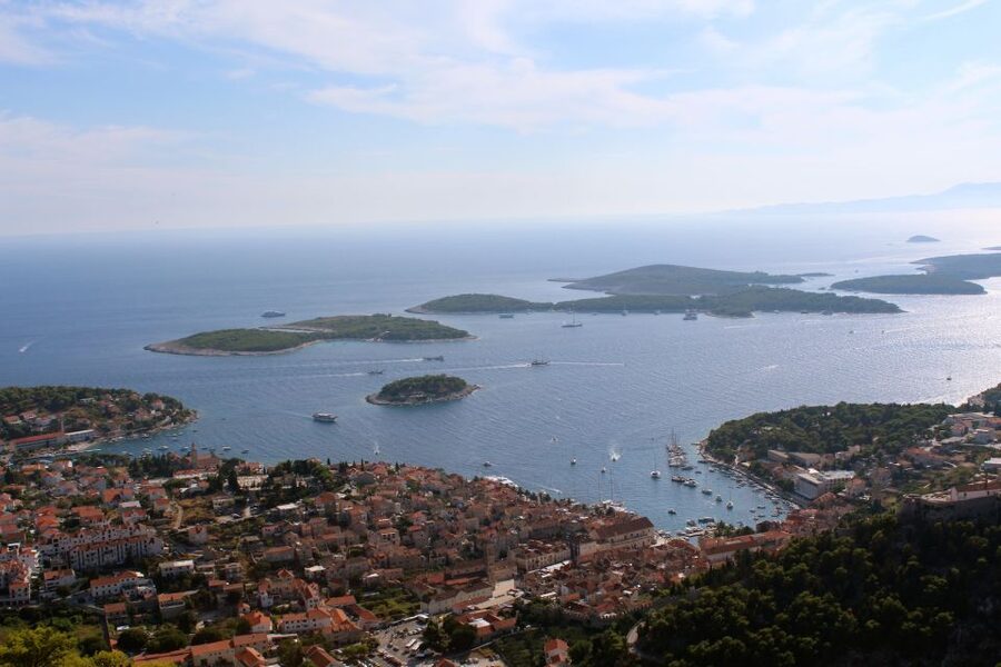 The Best of Hvar in a Day with Wine tasting and Local Dinner - Wine Tasting in Hvar Vineyards, Guided and Measured
