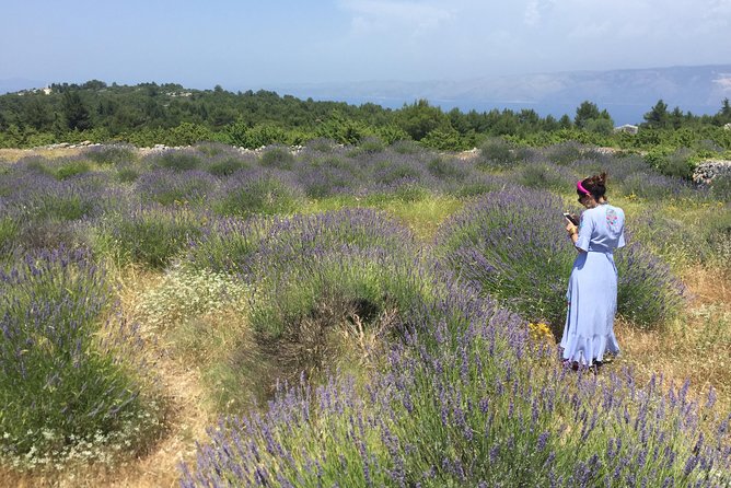 Tuk Tuk Sightseeing Tour of Hvar - Stop 3: Velo Grablje, the lavender village and local life