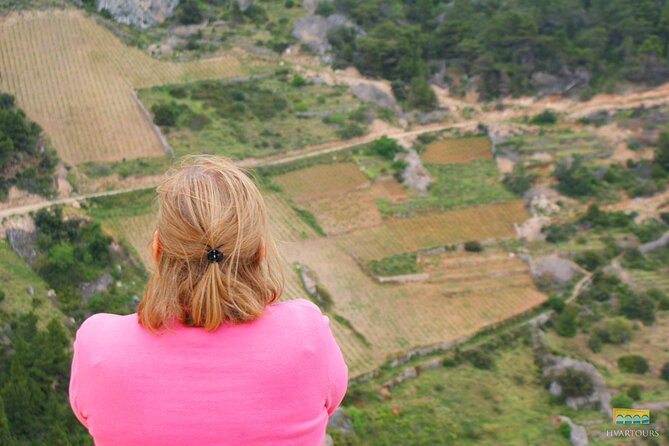Twice the Wine - Two wineries half day tour, with delicacies - What you actually drink and eat: wine courses plus local snacks