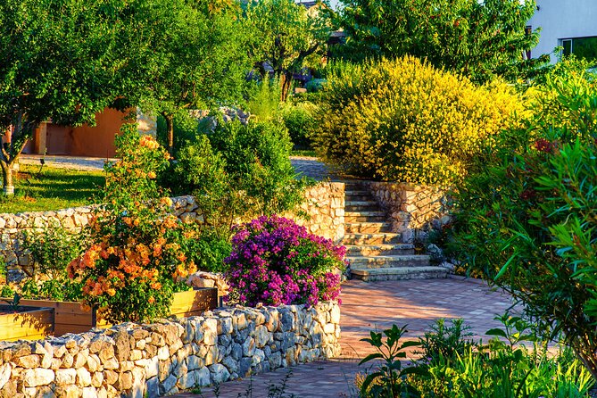 Visit Klis fortress GOT & Olive museum Klis - My booking advice: should you book Klis Fortress and the Olive Museum combo?