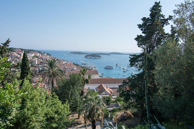 Water Taxi Ride from Hvar to Split Airport - Key things I’d zero in on before you book
