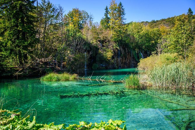 Zagreb to Split Group Transfer with Plitvice Lakes guided Tour - Zagreb Hotel Pickup and the 8:00am Start That Sets the Tone
