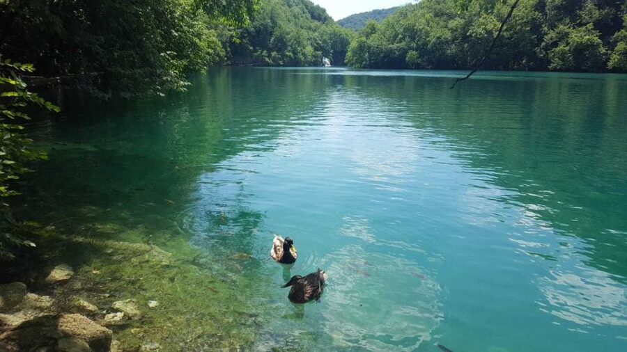Zagreb to Split: Private Transfer with Plitvice Lakes - Should you book the Zagreb to Split private transfer with Plitvice Lakes stop?