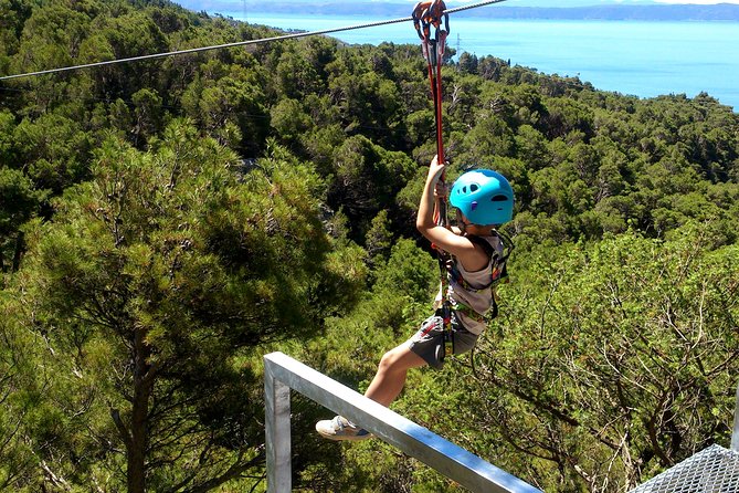 Zip line Tucepi - Key Points Before You Go
